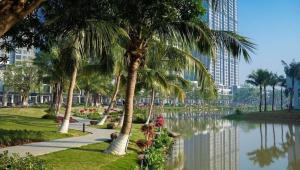 park z palmami i wodą w obiekcie QMP - Friendly House Ecopark w mieście HÆ°ng YÃªn
