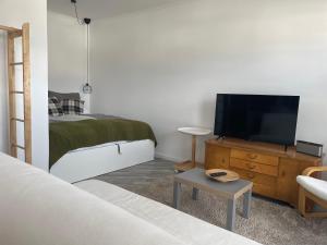 - un salon avec un lit et une télévision dans l'établissement Einzimmerappartment Birkenweg, à Nauort
