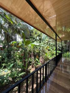 a balcony with a view of a forest at Casa Palmera in Puntarenas