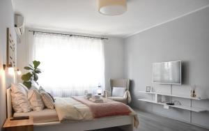 1 dormitorio con 1 cama, TV y silla en Pannonian sailor en Novi Sad