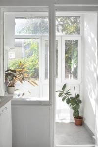 a white kitchen with a window and plants at Pannonian sailor in Novi Sad