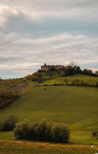 a house on top of a hill with a green field at Langhe e Roero - Casa da Angela in Sommariva Perno