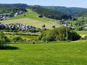 een groen veld met een dorp in de verte bij Ferienwohnung Herzstück in Willingen