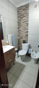 uma casa de banho com um WC e um lavatório em Apartamento Fazunchar em Figueiró dos Vinhos