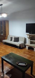 sala de estar con sofá y TV en Apartamento Fazunchar, en Figueiró dos Vinhos
