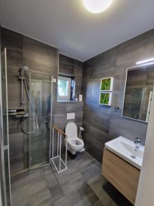 a bathroom with a toilet and a shower and a sink at Apartmán Eliška Filipovice in Bělá pod Pradědem
