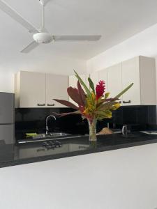 Kuchyň nebo kuchyňský kout v ubytování Bel appartement neuf en loma