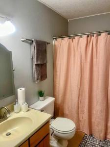 La salle de bains est pourvue de toilettes et d'un rideau de douche. dans l'établissement Town & Country-4BR/3BA, 1.5 acres, 20 min FSU/FAMU, à Tallahassee