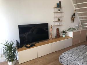a living room with a large flat screen tv on a cabinet at Le Corail - Superbe Duplex 3 chambres 6 personnes in Le Grau-du-Roi