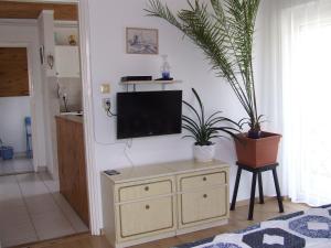 uma sala de estar com uma televisão numa parede com plantas em Czanek Apartman em Komárom
