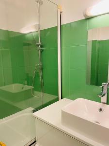 un bagno verde con lavandino e doccia di Appartement avec jardin (25min DisneyLand Paris) a Chennevières-sur-Marne