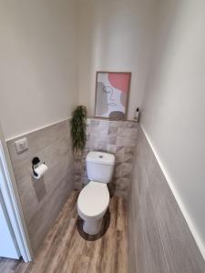 a bathroom with a toilet and a picture on the wall at Escapade Beaujolaise - Studio in Taponas