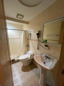a bathroom with a toilet and a sink at HOTEL SAN THOMAS INN in Panama City