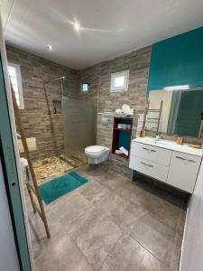 a bathroom with a shower and a toilet and a sink at VILLA NEPTUNE in Quartier du Fond Fleuri
