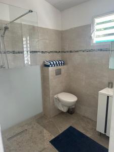 a bathroom with a toilet and a shower and a sink at VILLA NEPTUNE in Quartier du Fond Fleuri