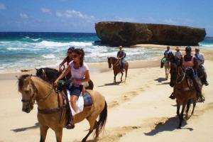 a group of people riding horses on the beach at Hidden Villa Aruba in Oranjestad