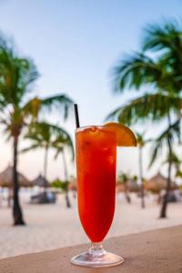 a drink with an orange slice in a glass at Hidden Villa Aruba in Oranjestad