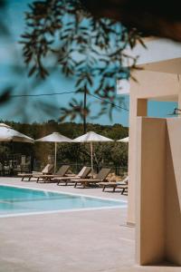 a pool with lounge chairs and umbrellas at Urania Hotel in Perdika