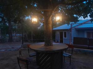 una mesa y sillas bajo un árbol por la noche en La Martina en Villa Carlos Paz