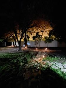 eine Gruppe von Bäumen und ein Steinweg in der Nacht in der Unterkunft The Grand Mango in El Gigante