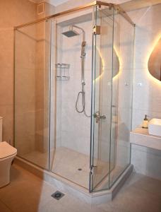 a shower with a glass enclosure in a bathroom at Primula in Metsovo