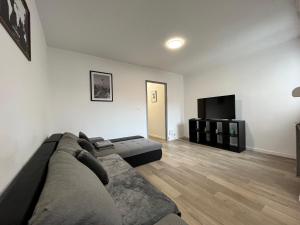 ein Wohnzimmer mit einem Sofa und einem Flachbild-TV in der Unterkunft Family Duplex 3BR au Coeur de Talange in Talange