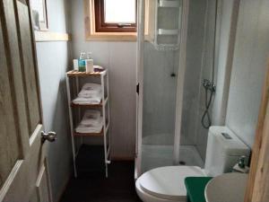 a small bathroom with a shower and a toilet at Linda Cabaña pet friendly a orilla rio y bosque, cerca Termas in Panguipulli