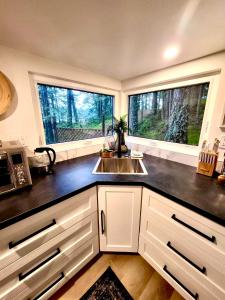a kitchen with a sink and two windows at Cliffside Hideaways 