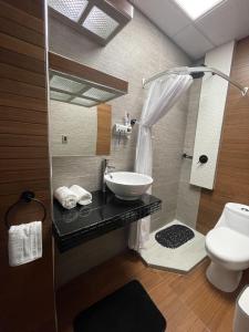 a bathroom with a shower with a sink and a toilet at Chicle 11 in Mexico City
