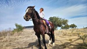 een jong meisje op een paard in een veld bij Refugio la mejor vista del Maule in Curicó