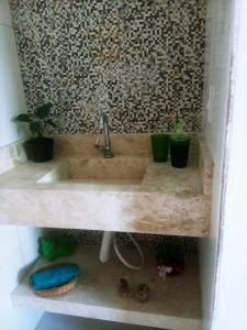 a bathroom with a sink with plants on it at Aconchego do velho chico in Piranhas