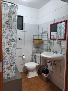 a bathroom with a toilet and a sink at Espaciosos y lindos mini apartamentos in Lima