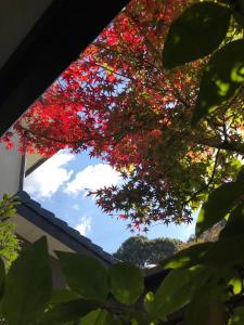 ヴィラの近くで見られる自然の景観