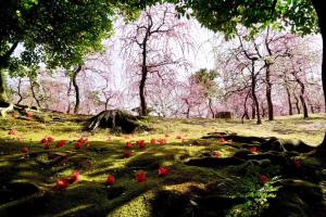 京都東福寺 逸苑にある庭