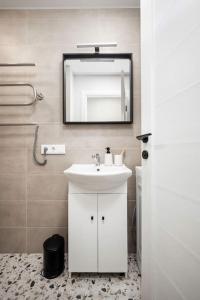 a bathroom with a sink and a mirror at Tyzenhauzu Apartment in Vilnius