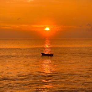 Maadathil Cottages & Beach Resort في فاركَالا: قارب في المحيط عند غروب الشمس