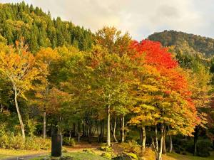 Paesaggio naturale nelle vicinanze dell'hotel
