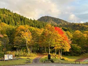 een groep bomen met herfstkleuren op een weg bij Asakusa Sanso in Uonuma