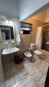 een badkamer met een toilet en een wastafel bij La Posada de los Vallistos - Casa de Campo en El Mollar Chicoana 