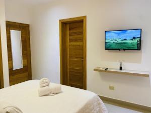 TV a/nebo společenská místnost v ubytování Apartamento Próximo Playa Caleta