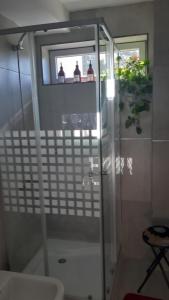 um chuveiro com uma porta de vidro na casa de banho em DEPARTAMENTO AMOBLADO NEUQUEN 2 em Neuquén