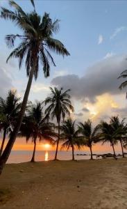 a group of palm trees on a beach at sunset at Peace Lanta Mansion in Ko Lanta