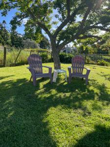 two benches sitting in the grass under a tree at Cotman Cottage on Coatesville in Kumeu +3 photos