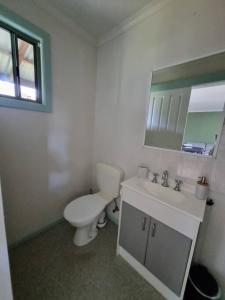 ein Badezimmer mit einem WC, einem Waschbecken und einem Spiegel in der Unterkunft Cottage for two, Marlo in Marlo