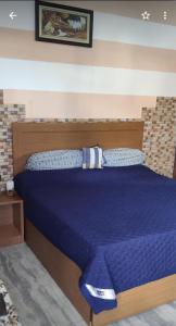 1 cama con edredón azul en un dormitorio en Simbha's Homestay, en Jammu