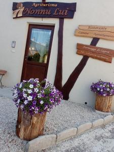 two pots of flowers in front of a building at Agriturismo NONNU LUI` in Amandola