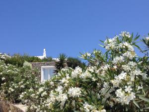 Zahrada ubytování Mykonos Love Nest