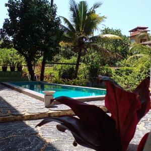 un murciélago volando frente a una piscina en Asanka Surf House & Resturant, en Midigama East