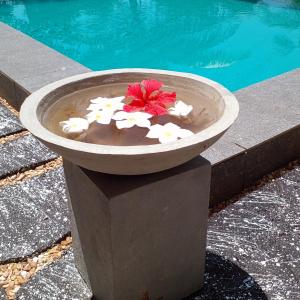 Ein Pflanzer mit einer Blume neben einem Pool. in der Unterkunft Asanka Surf House & Resturant in Midigama East