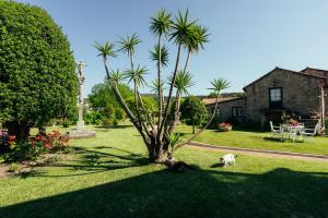 a dog standing next to a palm tree in a yard at Os Migueliños in Catoira